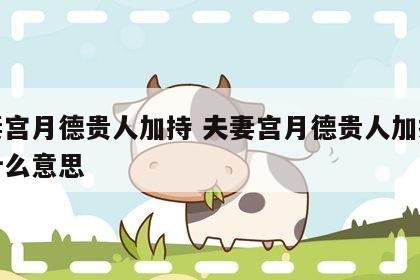 夫妻宫月德贵人加持 夫妻宫月德贵人加持吉神什么意思
