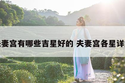 夫妻宫有哪些吉星好的 夫妻宫各星详解