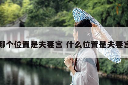 哪个位置是夫妻宫 什么位置是夫妻宫