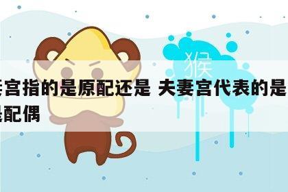 夫妻宫指的是原配还是 夫妻宫代表的是自己还是配偶