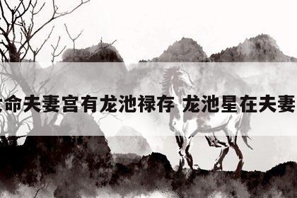 女命夫妻宫有龙池禄存 龙池星在夫妻宫