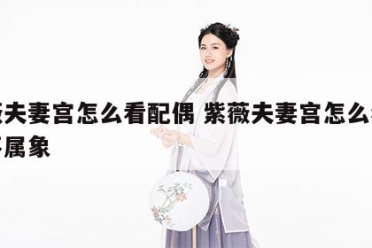 紫薇夫妻宫怎么看配偶 紫薇夫妻宫怎么看配偶不属象