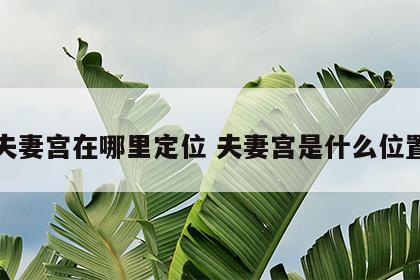夫妻宫在哪里定位 夫妻宫是什么位置