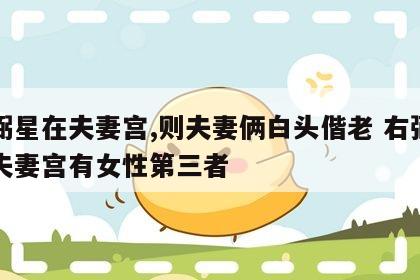 右弼星在夫妻宫,则夫妻俩白头偕老 右弼星在夫妻宫有女性第三者