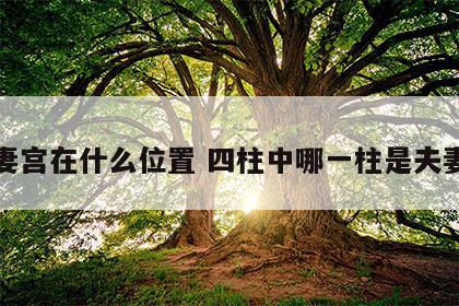 夫妻宫在什么位置 四柱中哪一柱是夫妻宫