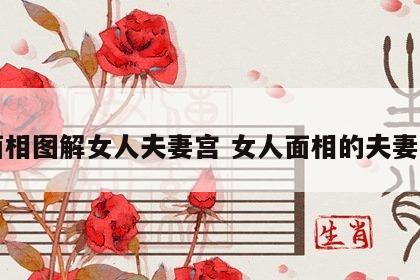 面相图解女人夫妻宫 女人面相的夫妻宫