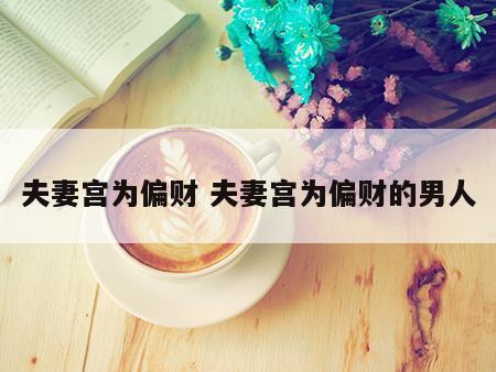 夫妻宫为偏财 夫妻宫为偏财的男人