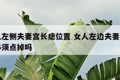 女人左侧夫妻宫长痣位置 女人左边夫妻宫有痣必须点掉吗