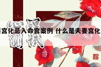 夫妻宫化忌入命宫案例 什么是夫妻宫化忌入命