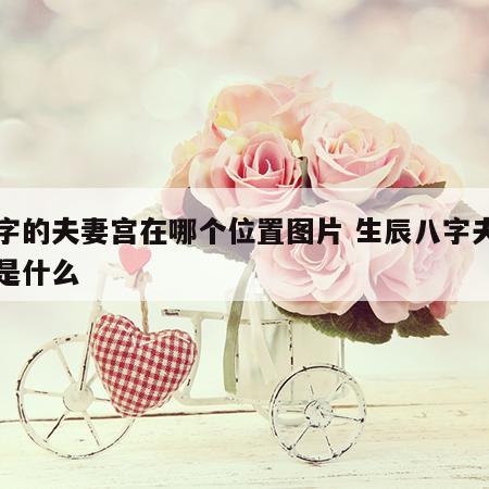 八字的夫妻宫在哪个位置图片 生辰八字夫妻宫是什么