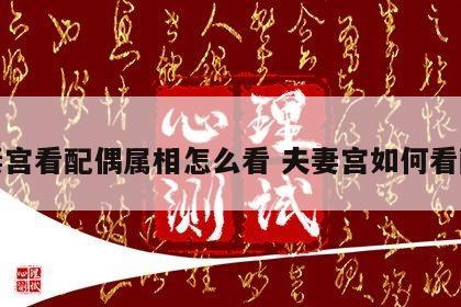 夫妻宫看配偶属相怎么看 夫妻宫如何看配偶