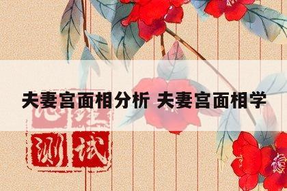夫妻宫面相分析 夫妻宫面相学