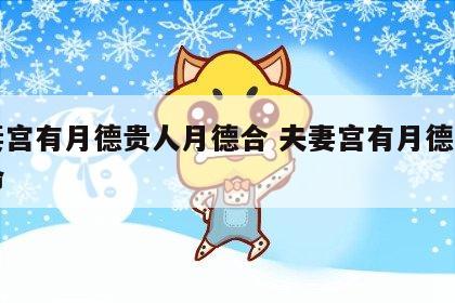 夫妻宫有月德贵人月德合 夫妻宫有月德星的女命