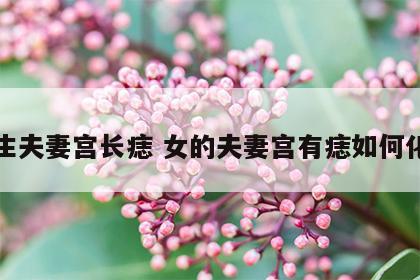 女生夫妻宫长痣 女的夫妻宫有痣如何化解