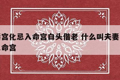 夫妻宫化忌入命宫白头偕老 什么叫夫妻宫化忌入命宫