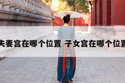 夫妻宫在哪个位置 子女宫在哪个位置