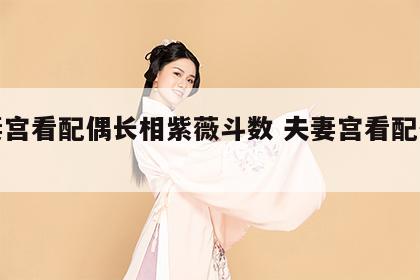 夫妻宫看配偶长相紫薇斗数 夫妻宫看配偶特征