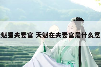 天魁星夫妻宫 天魁在夫妻宫是什么意思