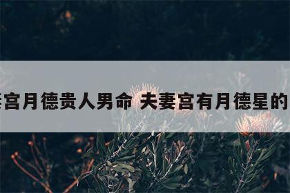 夫妻宫月德贵人男命 夫妻宫有月德星的女命