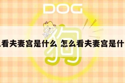 怎么看夫妻宫是什么 怎么看夫妻宫是什么位