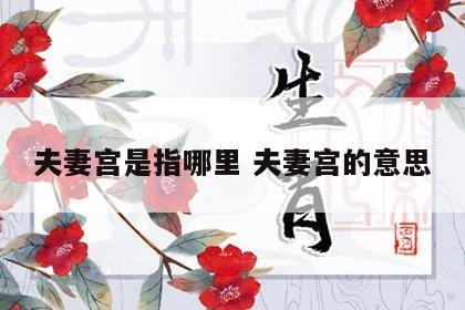 夫妻宫是指哪里 夫妻宫的意思
