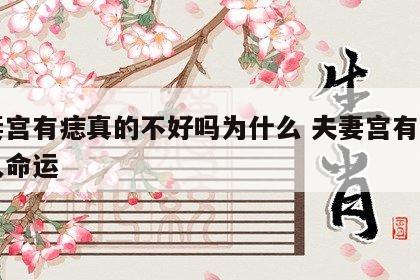 夫妻宫有痣真的不好吗为什么 夫妻宫有痣的女人命运