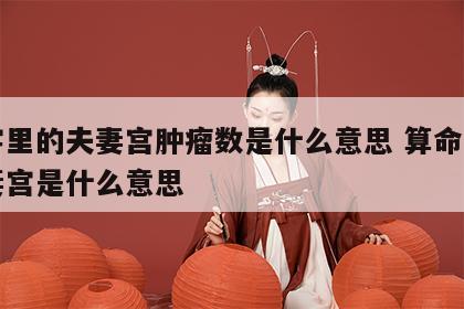 八字里的夫妻宫肿瘤数是什么意思 算命说的夫妻宫是什么意思
