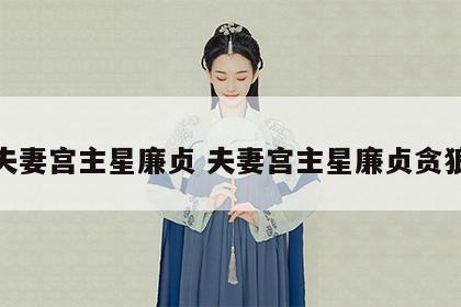 夫妻宫主星廉贞 夫妻宫主星廉贞贪狼