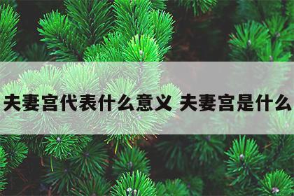 夫妻宫代表什么意义 夫妻宫是什么