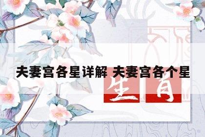 夫妻宫各星详解 夫妻宫各个星