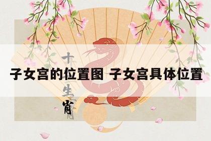 子女宫的位置图 子女宫具体位置