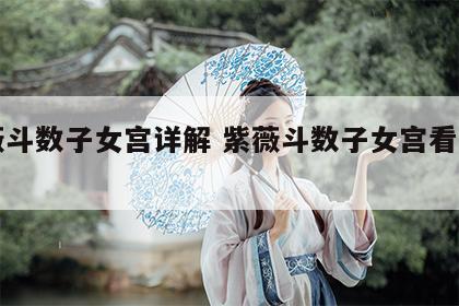 紫薇斗数子女宫详解 紫薇斗数子女宫看生男女
