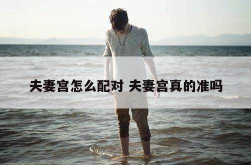 夫妻宫怎么配对 夫妻宫真的准吗