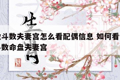 紫微斗数夫妻宫怎么看配偶信息 如何看懂紫微斗数命盘夫妻宫