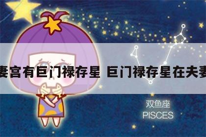 夫妻宫有巨门禄存星 巨门禄存星在夫妻宫