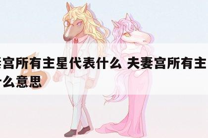 夫妻宫所有主星代表什么 夫妻宫所有主星代表什么意思