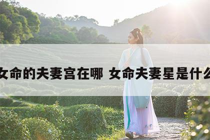 女命的夫妻宫在哪 女命夫妻星是什么
