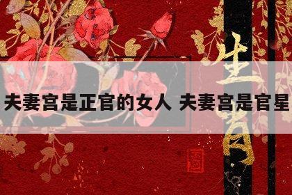 夫妻宫是正官的女人 夫妻宫是官星