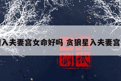 贪狼入夫妻宫女命好吗 贪狼星入夫妻宫女命