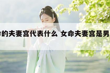 女命的夫妻宫代表什么 女命夫妻宫是男命命宫
