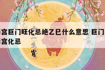 夫妻宫巨门旺化忌绝乙巳什么意思 巨门星在夫妻宫化忌