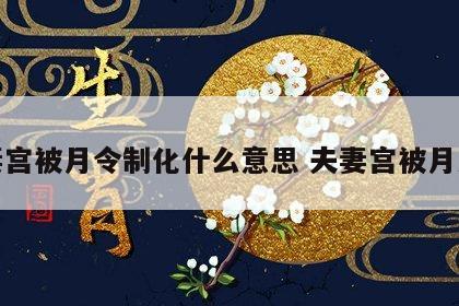 夫妻宫被月令制化什么意思 夫妻宫被月支刑