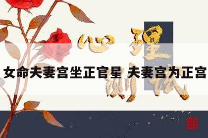 女命夫妻宫坐正官星 夫妻宫为正宫