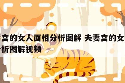 夫妻宫的女人面相分析图解 夫妻宫的女人面相分析图解视频