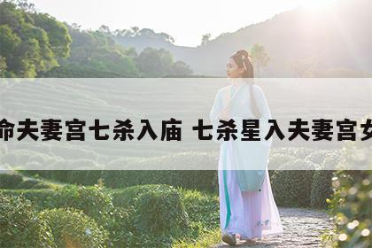 女命夫妻宫七杀入庙 七杀星入夫妻宫女命