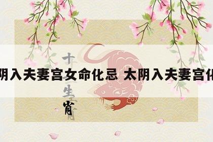 太阴入夫妻宫女命化忌 太阴入夫妻宫化权