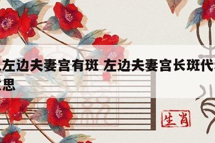 女人左边夫妻宫有斑 左边夫妻宫长斑代表什么意思