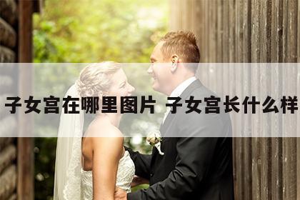 子女宫在哪里图片 子女宫长什么样